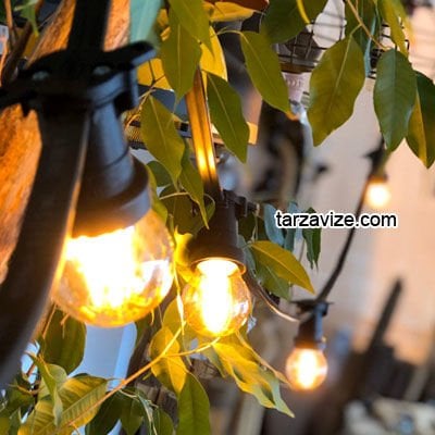 Tarzavize Sıralı Bahçe Aydınlatma, Seyyar Bahçe Işıklandırma Kablosu 2 Metre Aralıklı