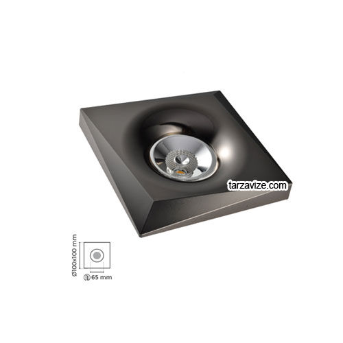 Tarzavize TRZ4008 Sıva Altı Dekoratif Platin Led Spot Armatür Beyaz-Günışığı Işık